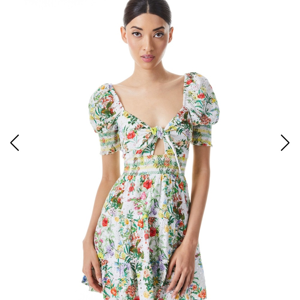 Alice + Olivia White Floral Mini Dress with Green and Red Accents